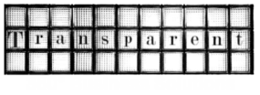 Transparent Business Solution